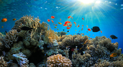 Immerse yourself in the Red Sea at Hurghada